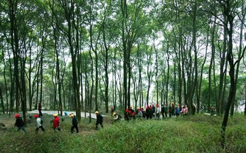 重慶拓展培訓的四個環節是什么？你知道嗎？